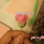 آمورش گل رز با خمیر فوندانت (18)
