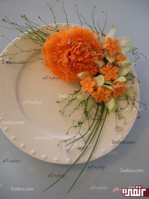 تزیین بشقاب غذا با سبزیجات