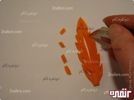 تزیین غذا با هویج به شکل برگ