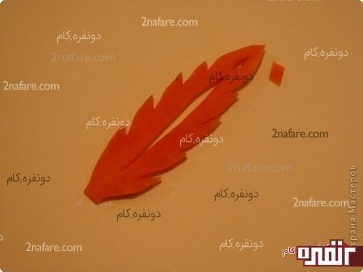 تزیین غذا با هویج به شکل برگ